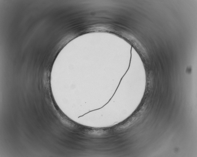 X0000116681233201001251253