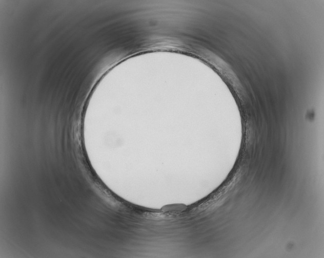 X0000116681234201001251253