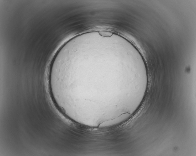 X0000116681235201001251253