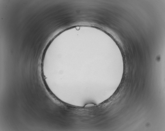 X0000116681237201001251253