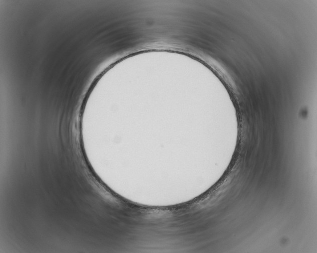 X0000116681238201001251253