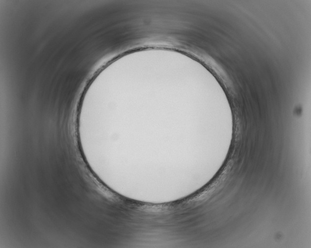 X0000116681240201001251253