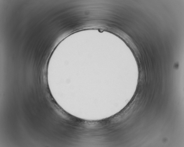 X0000116681242201001251253