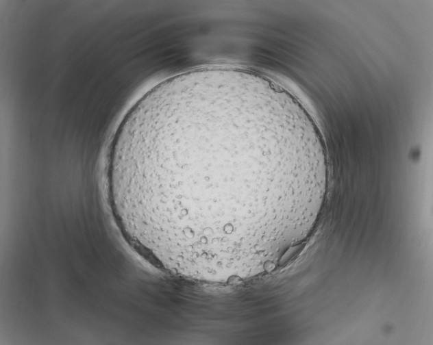 X0000116681243201001251253