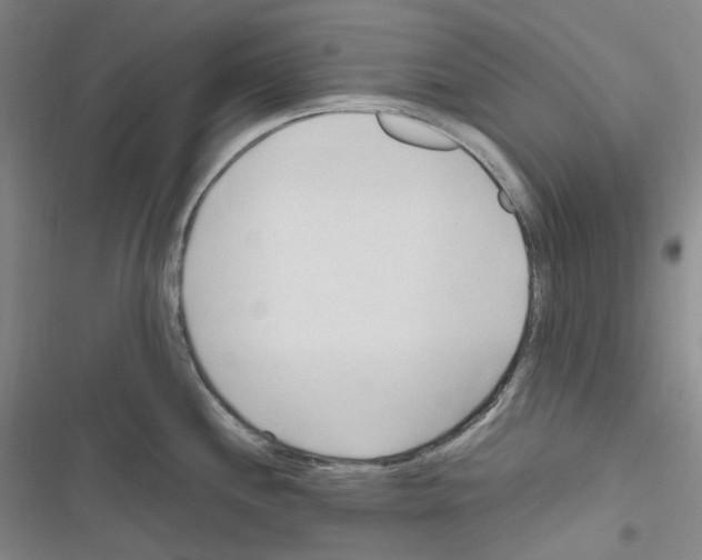 X0000116681244201001251253