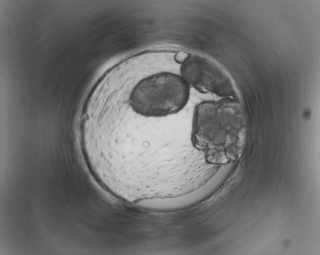 X0000116681245201001251253