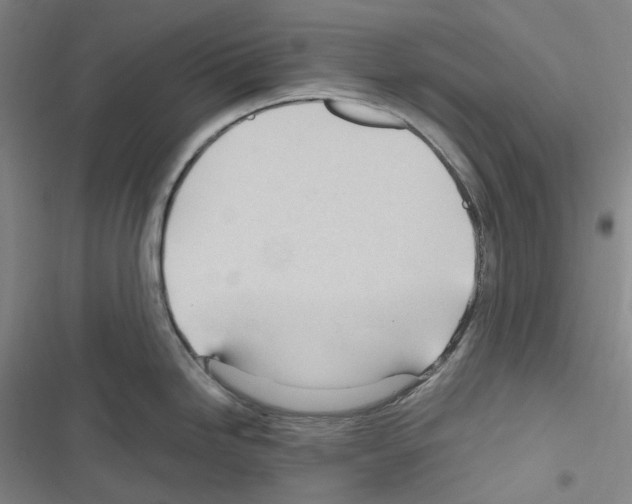 X0000116681246201001251253