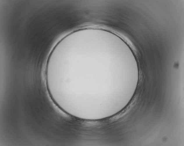 X0000116681247201001251253