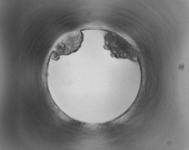 X0000116681248201001251253