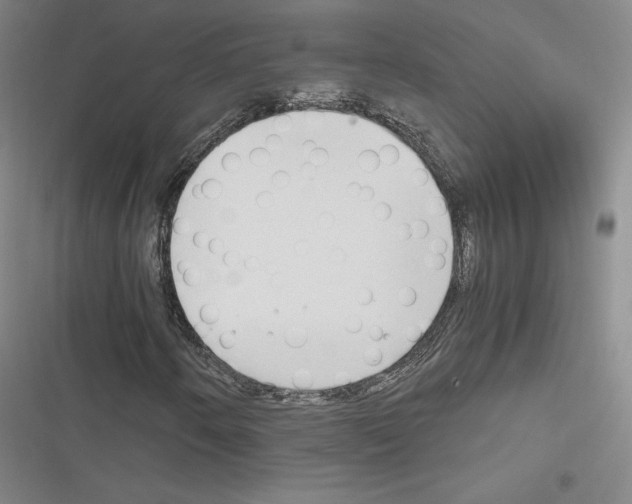 X0000116681250201001251252