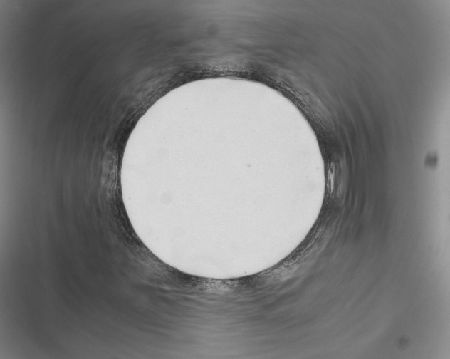 X0000116681251201001251252