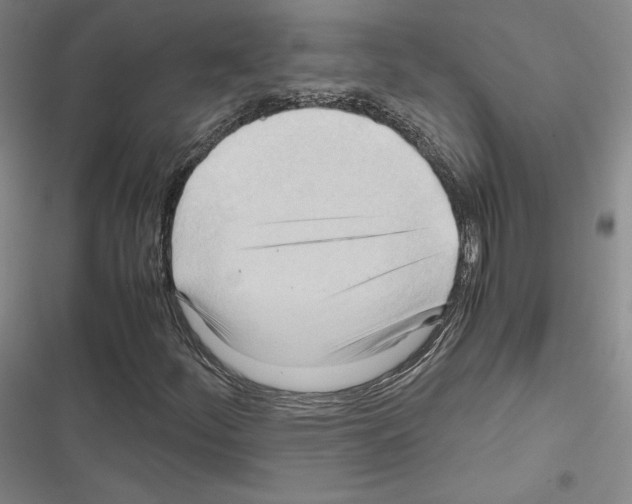 X0000116681252201001251252