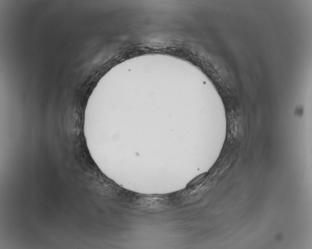 X0000116681253201001251252