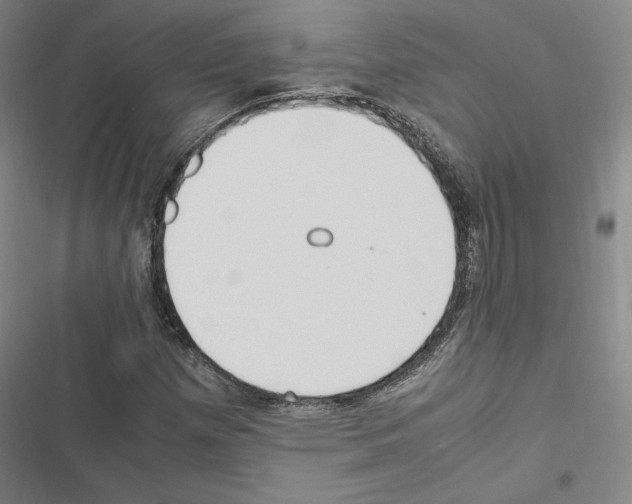 X0000116681257201001251252