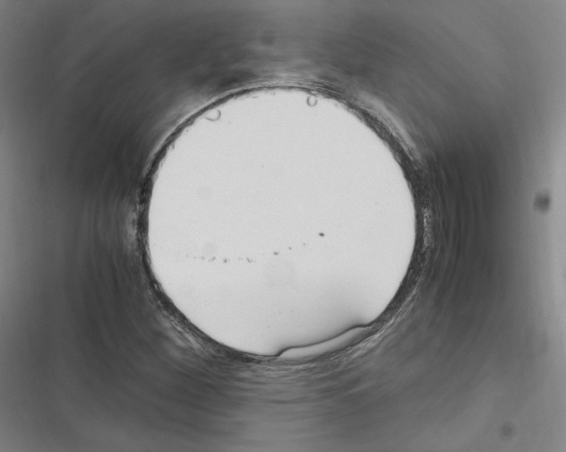 X0000116681260201001251252