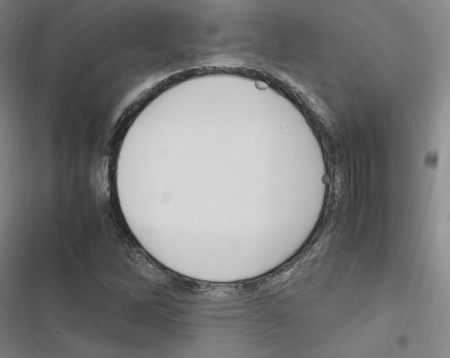 X0000116681262201001251252