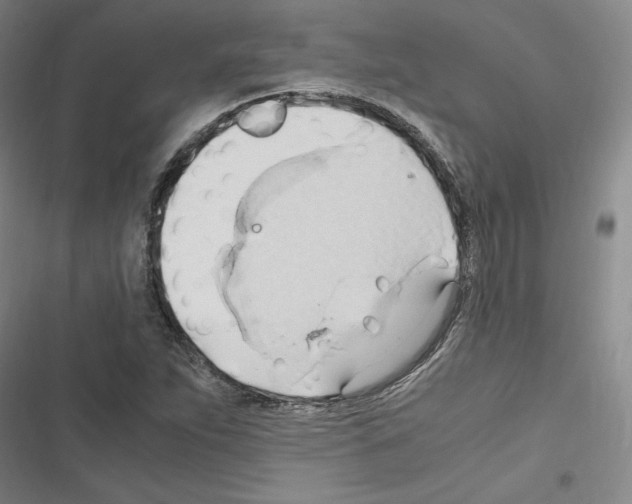 X0000116681263201001251252