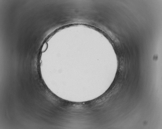 X0000116681264201001251252