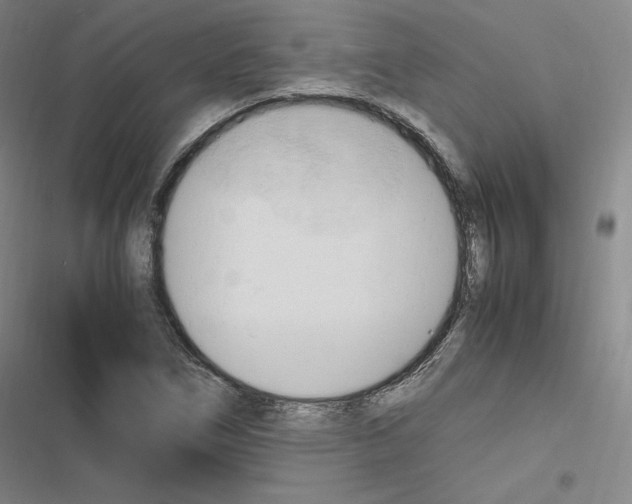 X0000116681266201001251252