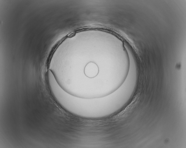 X0000116681269201001251252