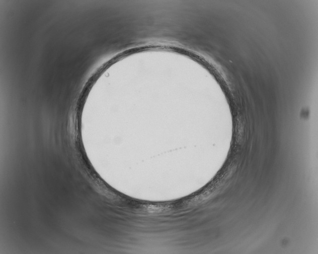 X0000116681271201001251252