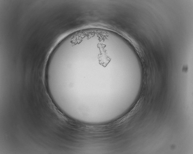 X0000116681272201001251252