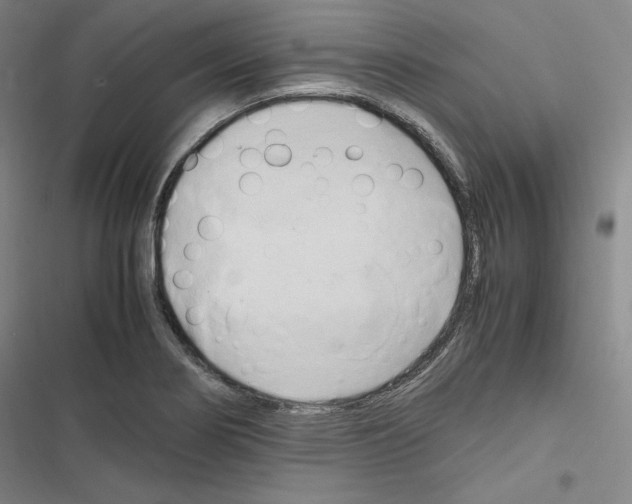 X0000116681274201001251252