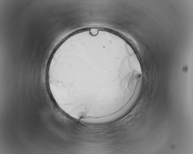 X0000116681279201001251252