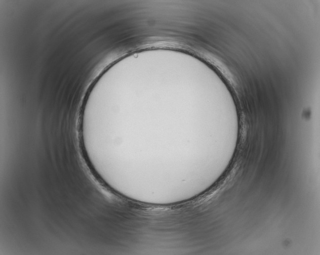 X0000116681282201001251252