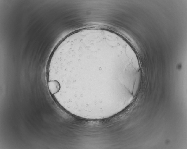 X0000116681283201001251252