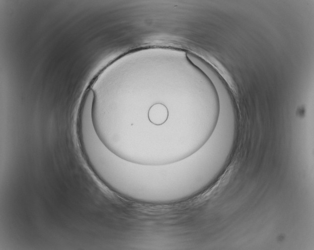 X0000116681285201001251252