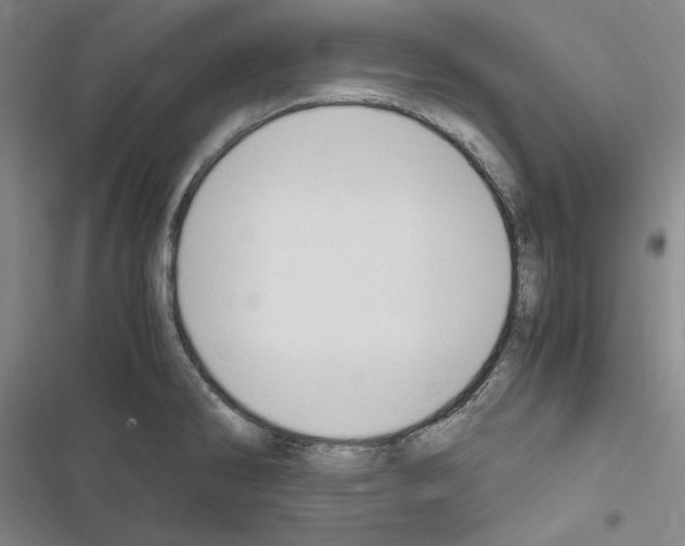 X0000116681286201001251252