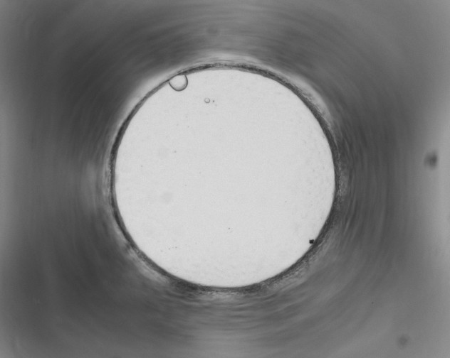 X0000116681287201001251252