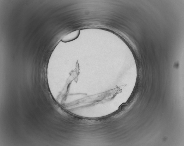 X0000116681289201001251252