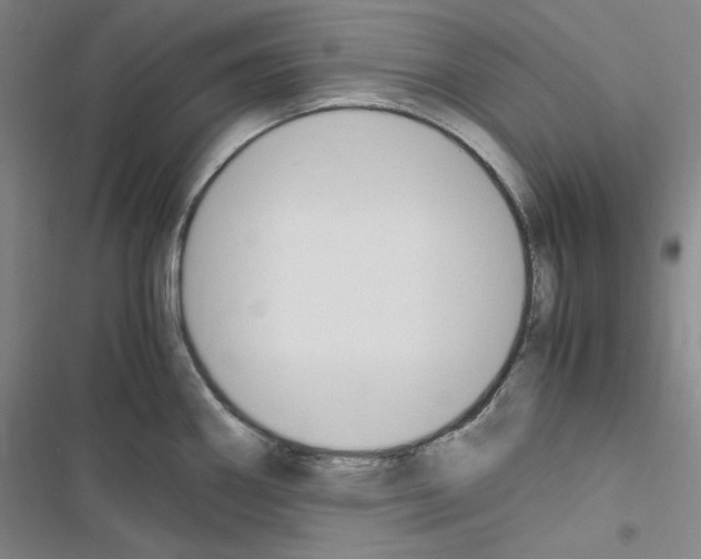 X0000116681290201001251252