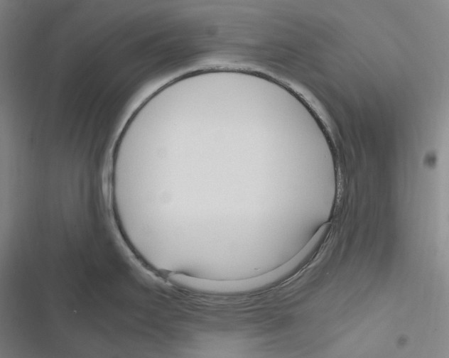 X0000116681295201001251252