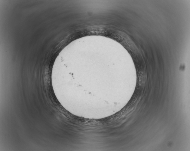 X0000116681298201001251251