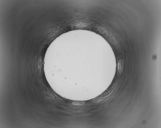 X0000116681299201001251251