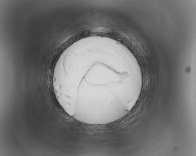 X0000116681301201001251251