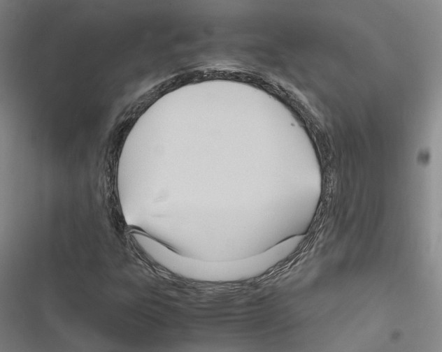 X0000116681303201001251251