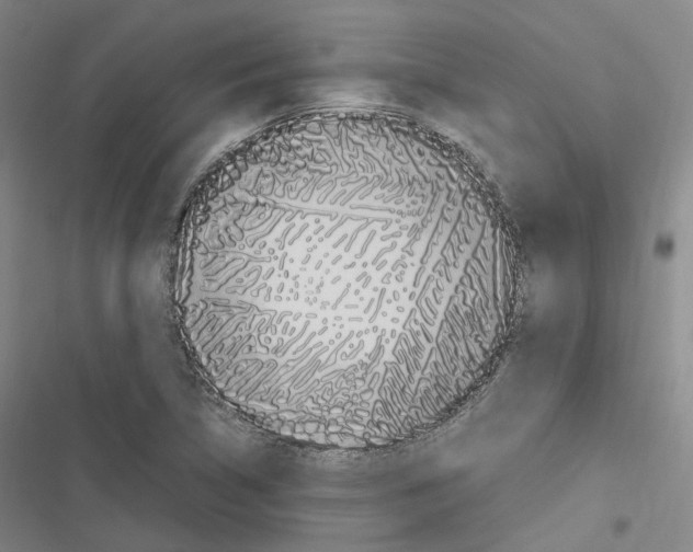 X0000116681314201001251251