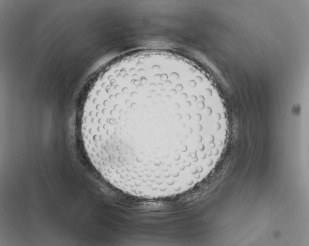 X0000116681315201001251251