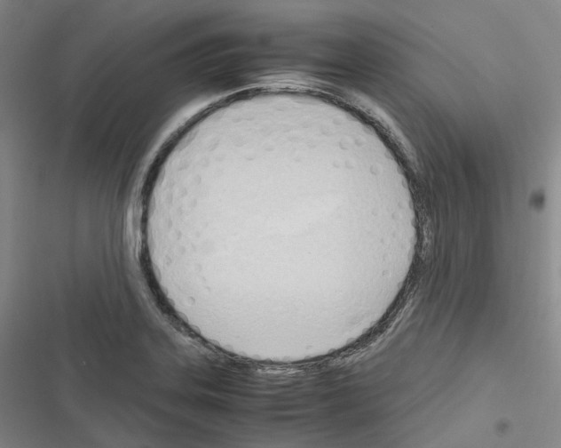 X0000116681323201001251252