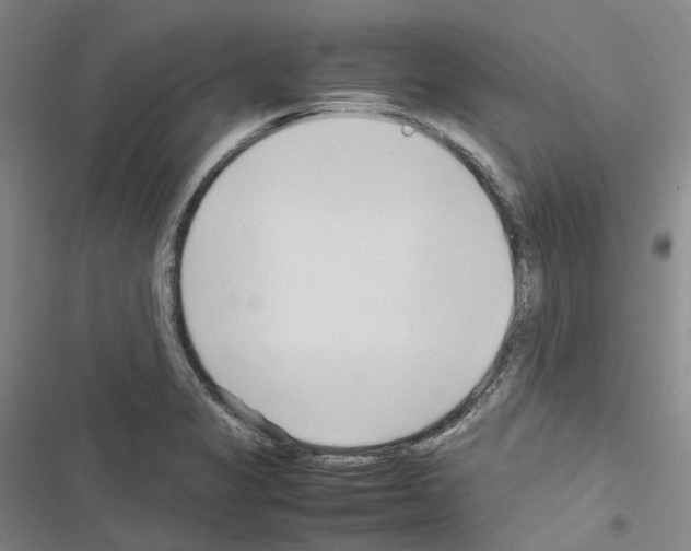 X0000116681325201001251252