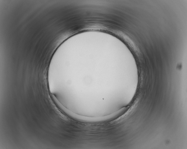 X0000116681329201001251252