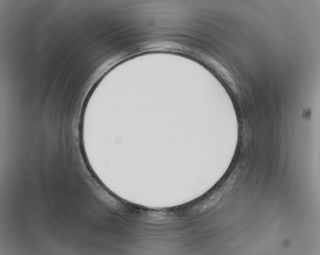 X0000116681330201001251252