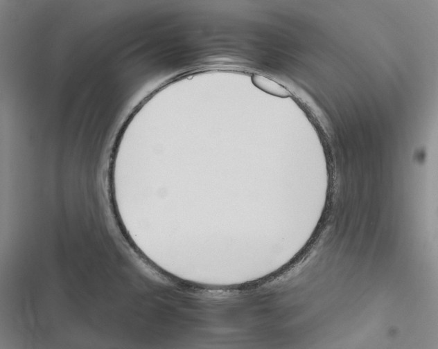 X0000116681333201001251252