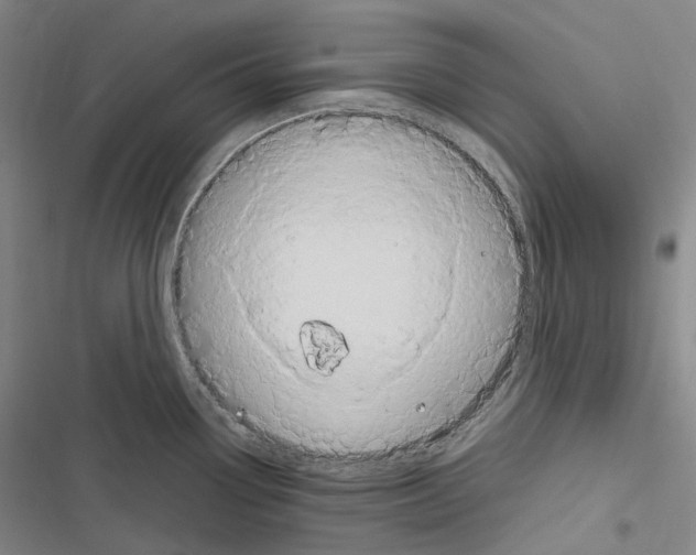 X0000116681338201001251252