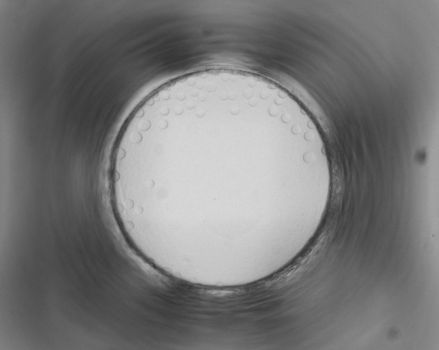 X0000116681339201001251252