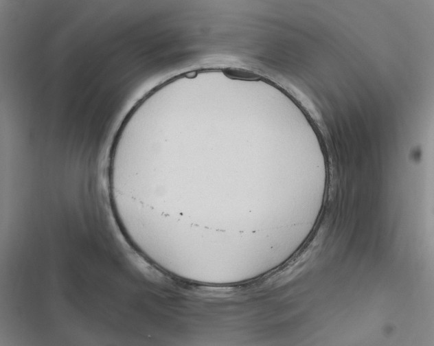 X0000116681342201001251252